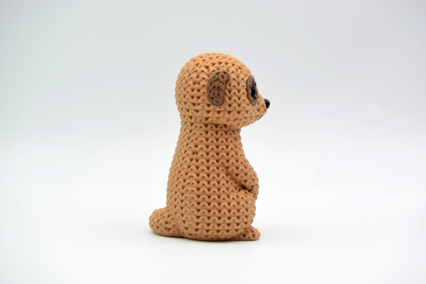 Meerkat
