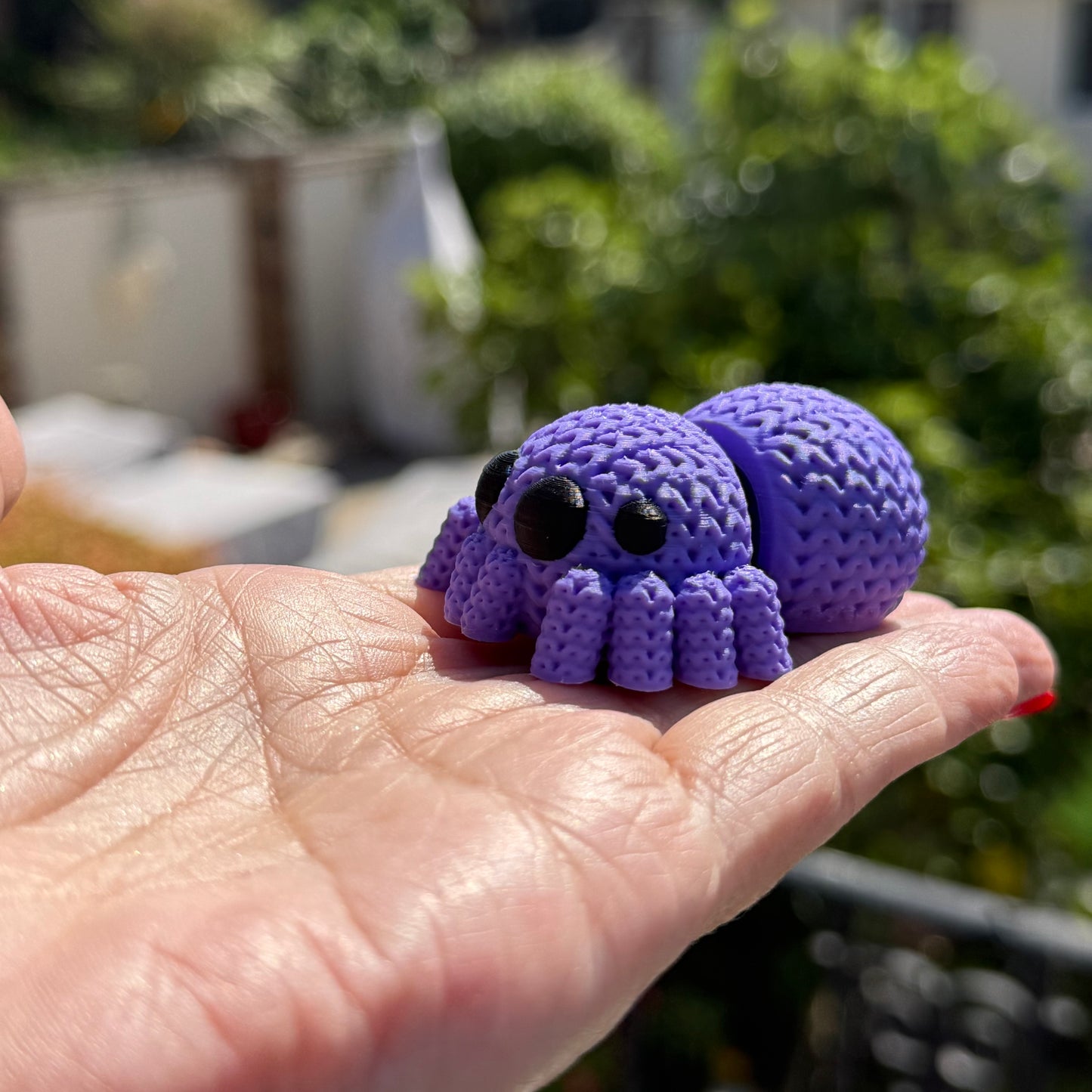 Spider