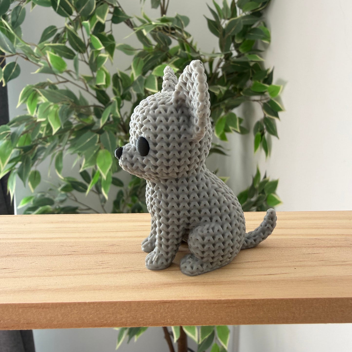 Chihuahua Light Grey