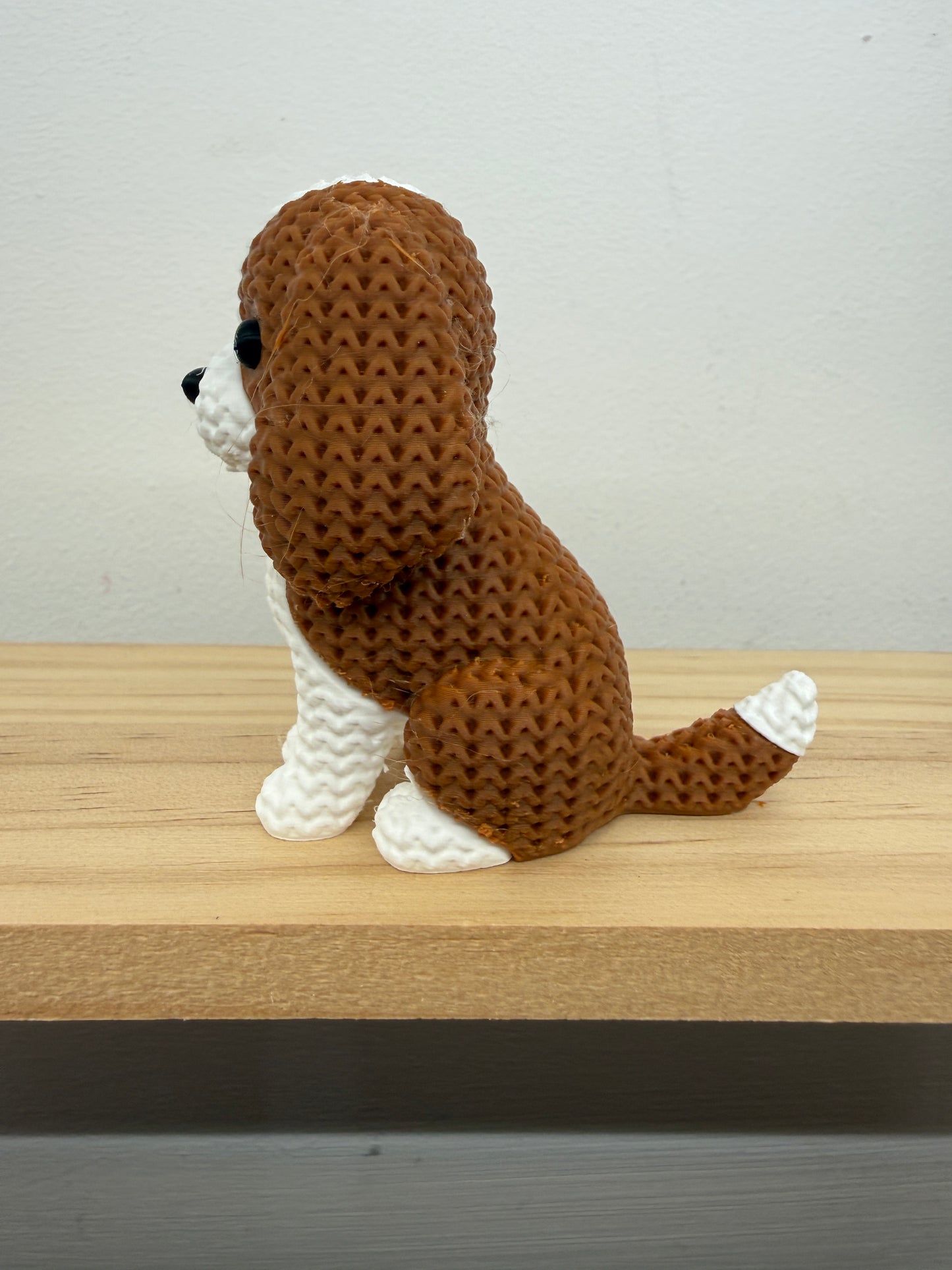 Cavalier King Charles Spaniel Dog