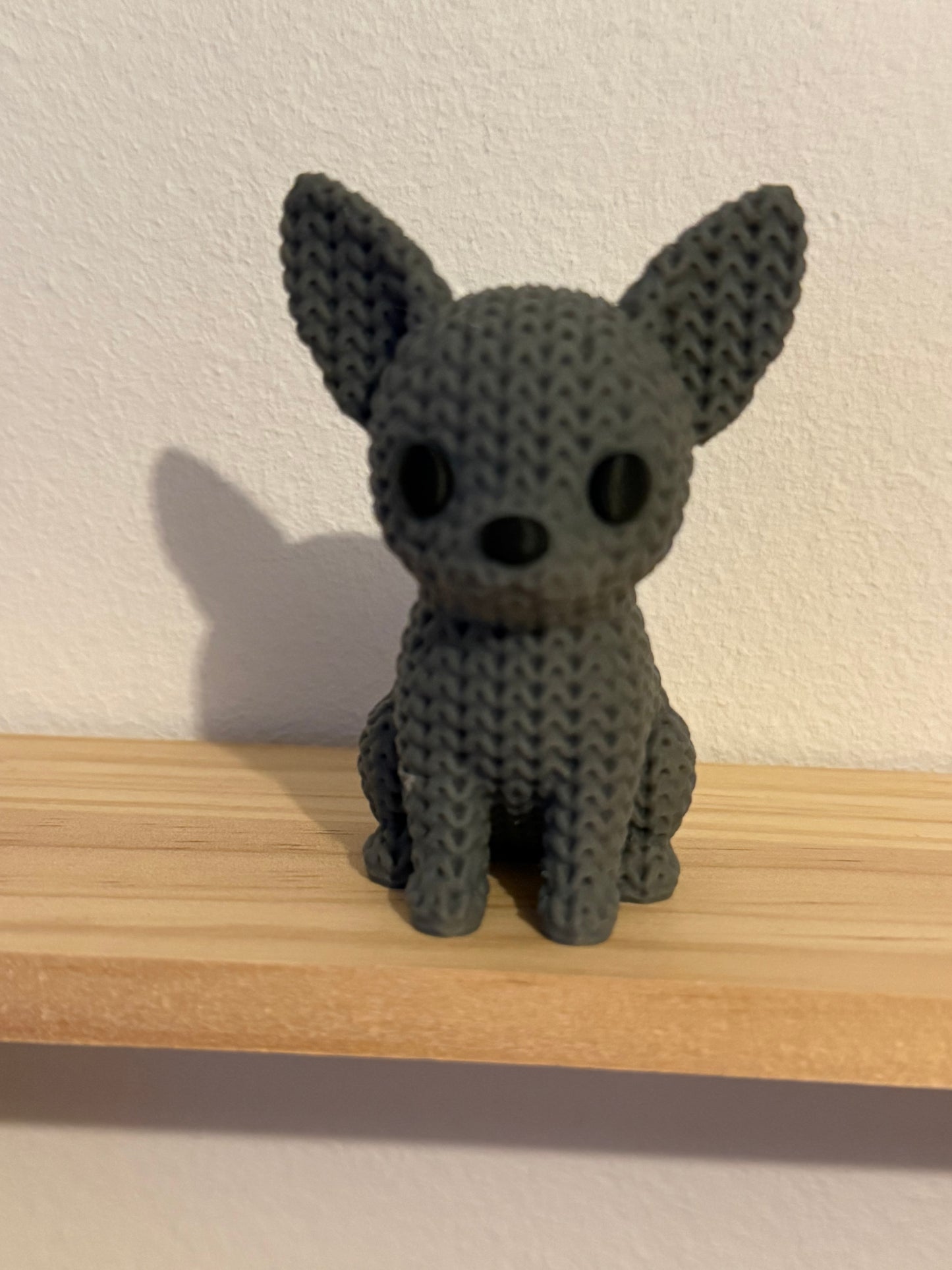 Chihuahua Grey