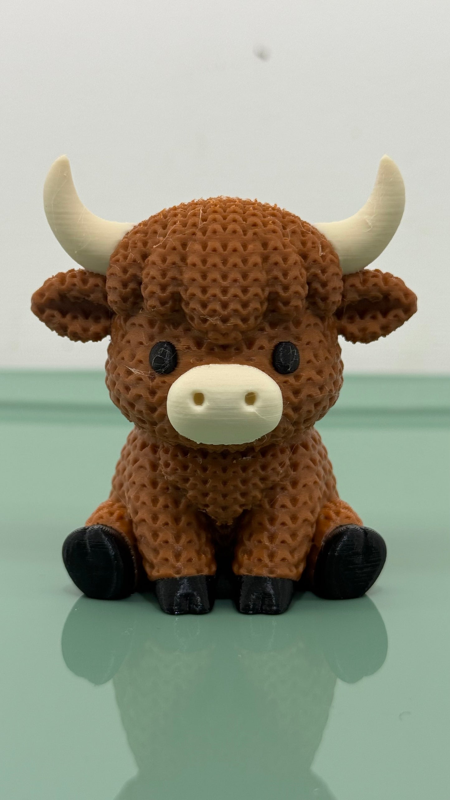 Highland Cow
