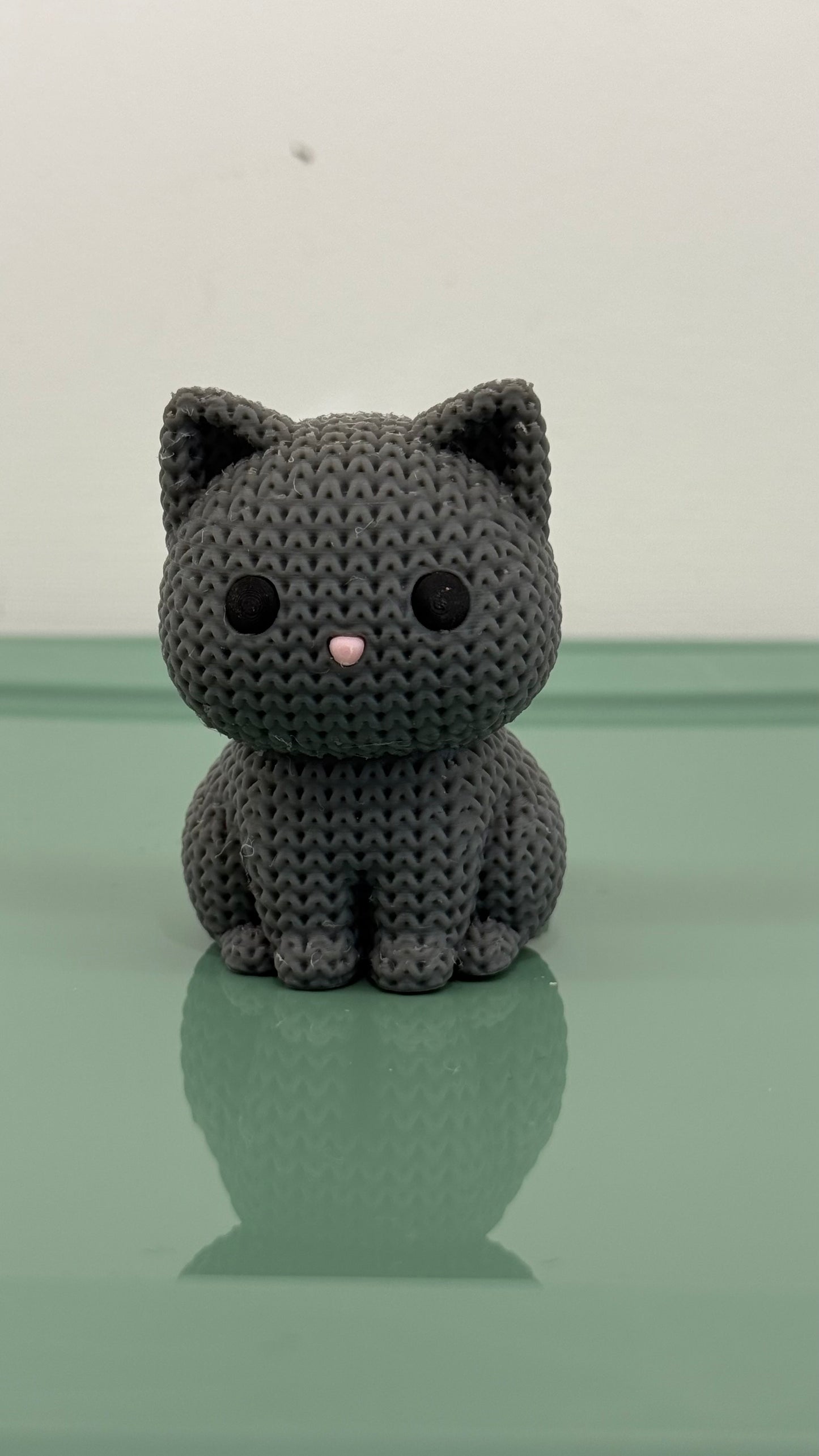 Grey Cat Kitten