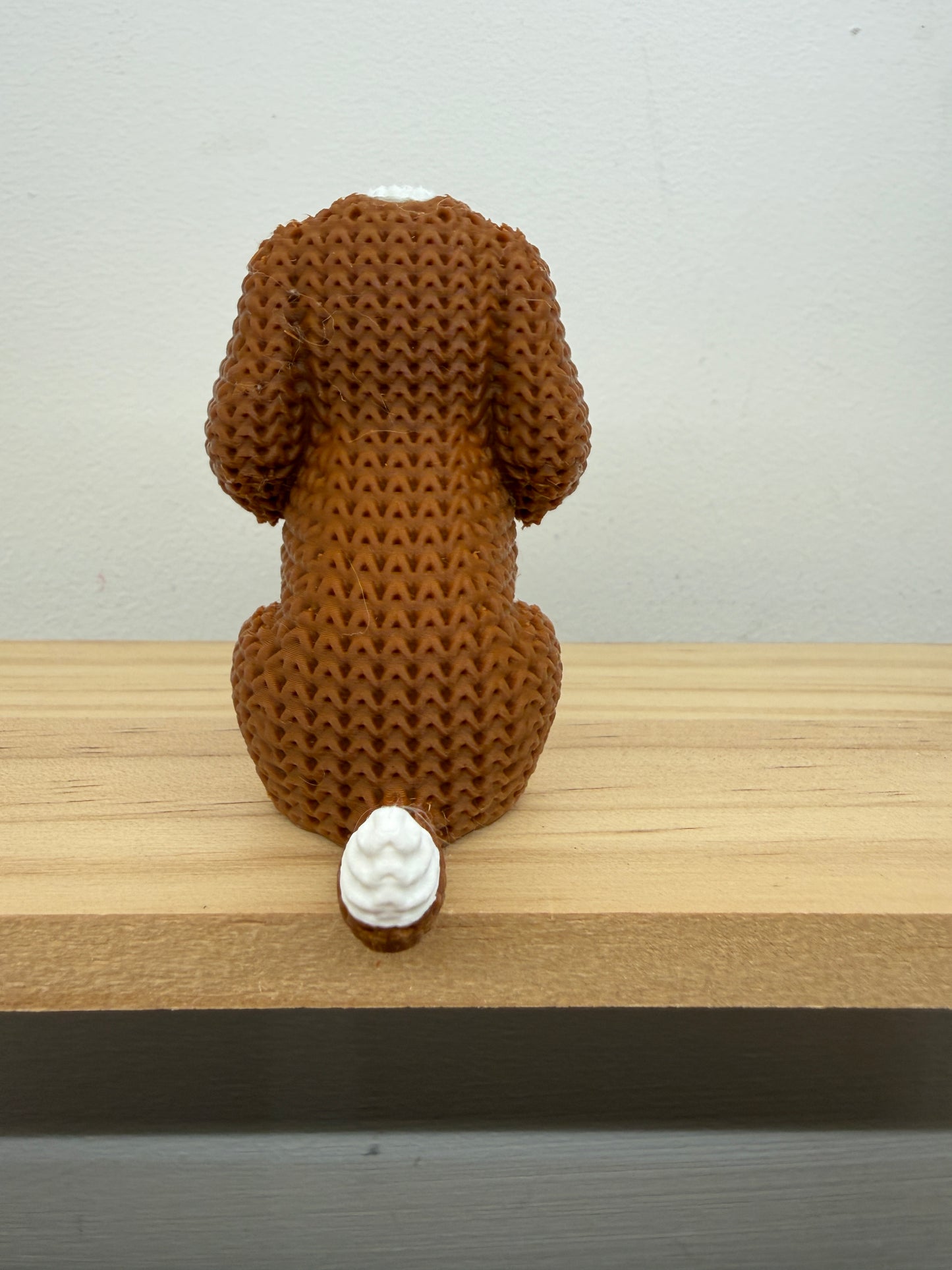 Cavalier King Charles Spaniel Dog