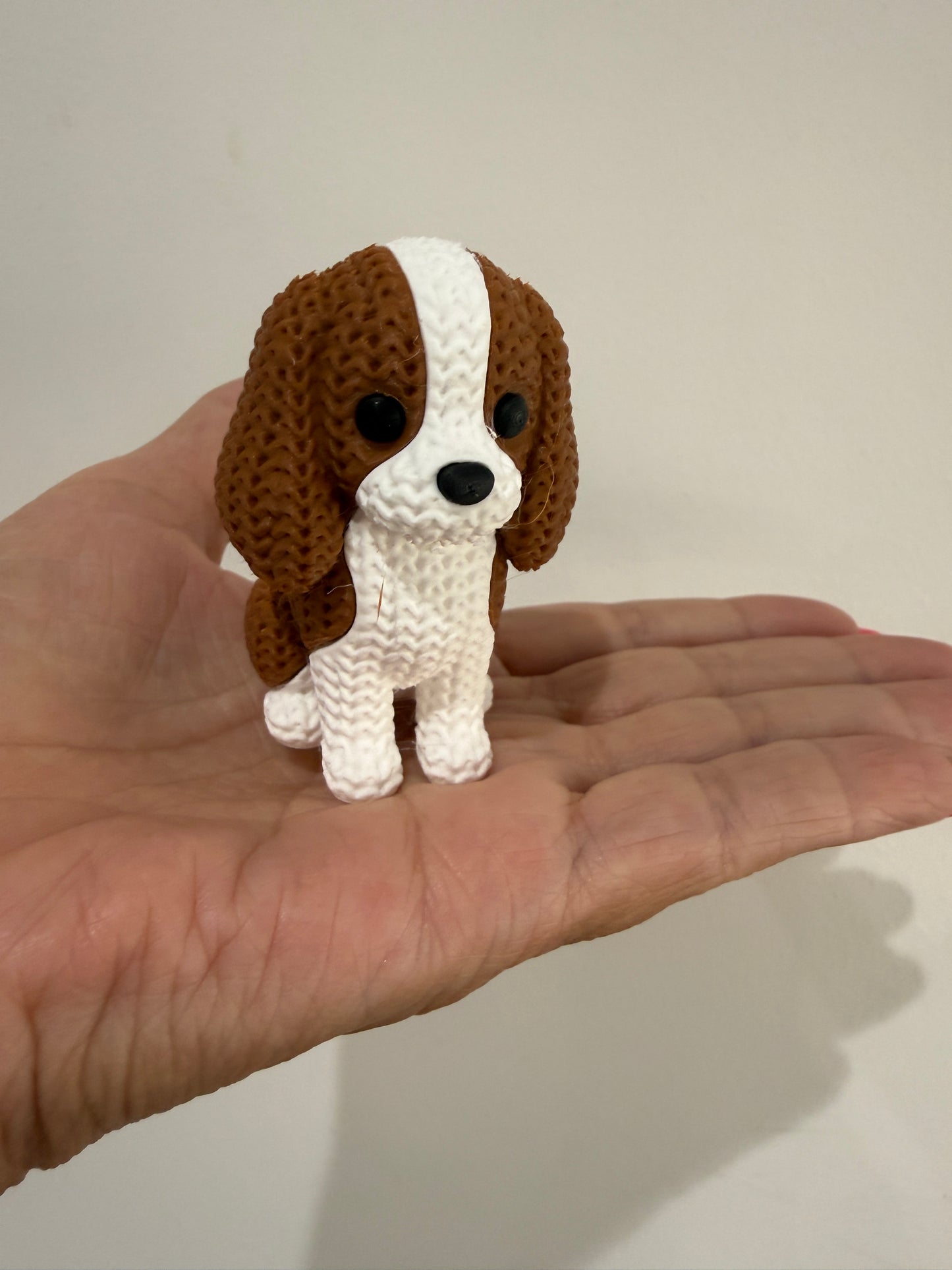 Cavalier King Charles Spaniel Dog