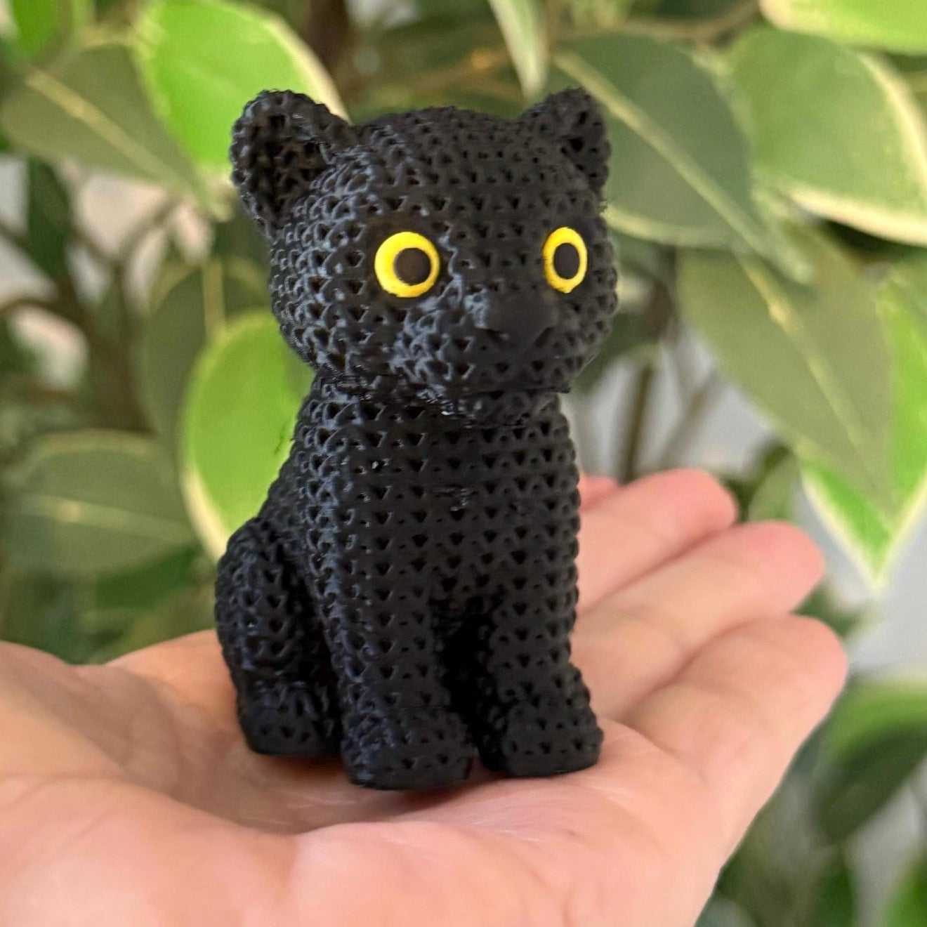 Panther