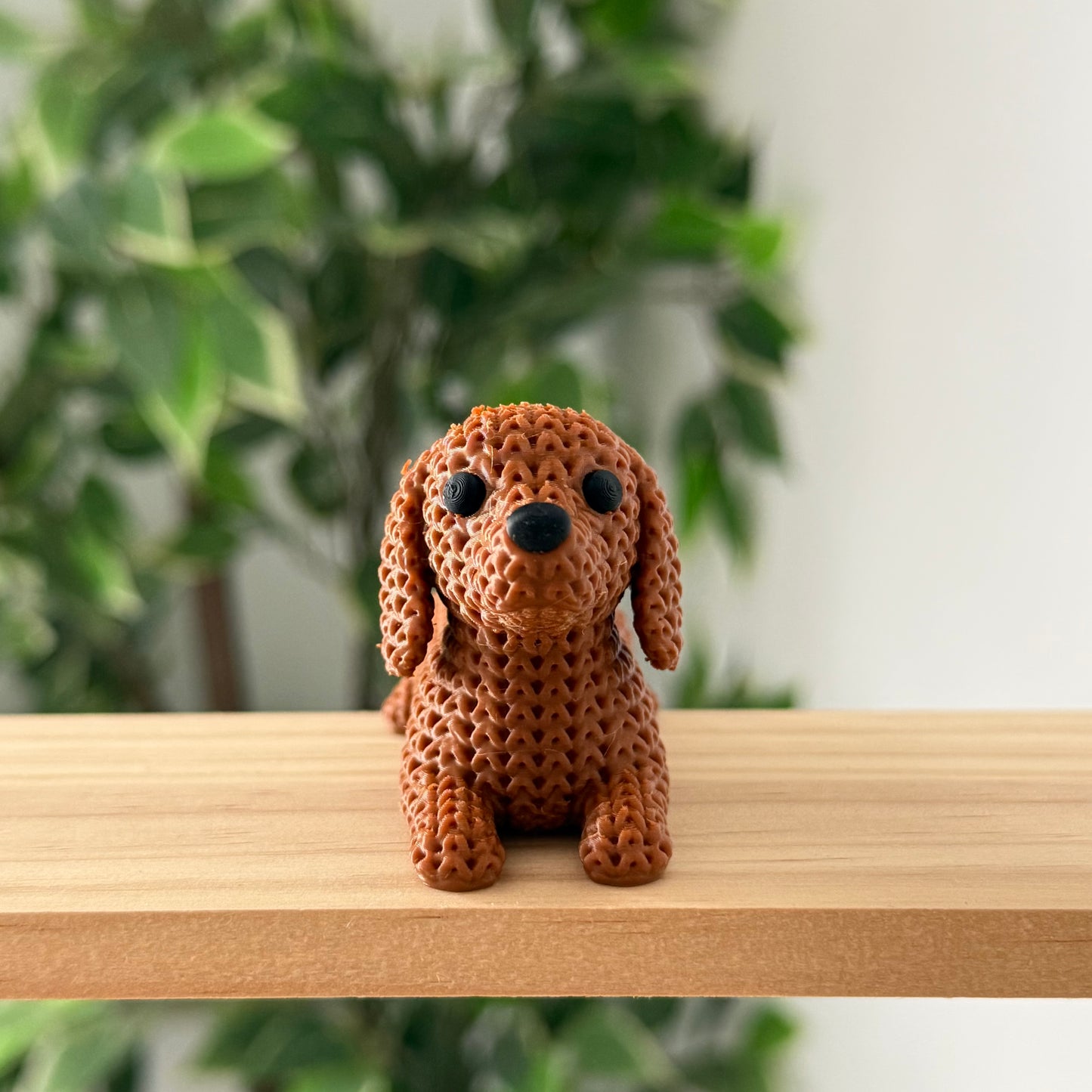 Dachshund Dog