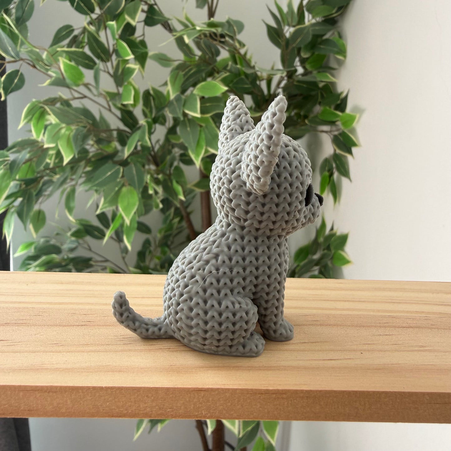 Chihuahua Light Grey