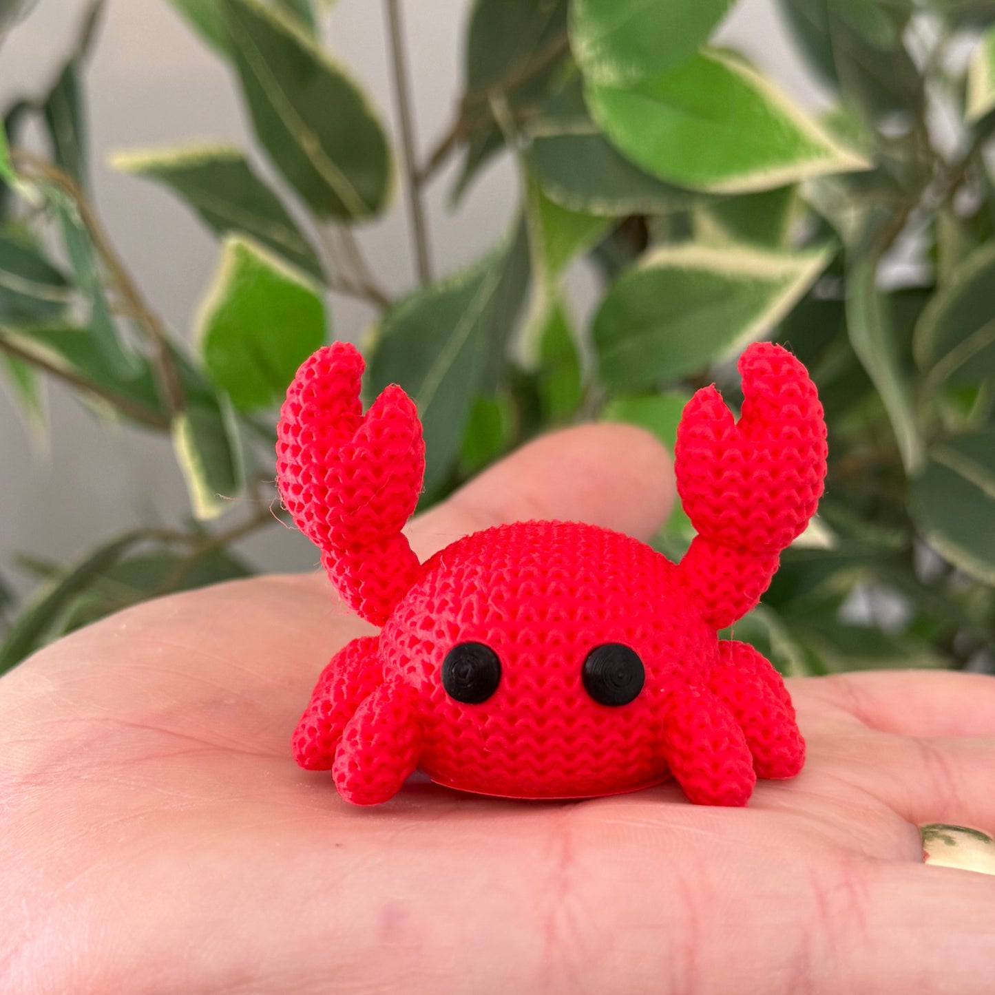 Crab