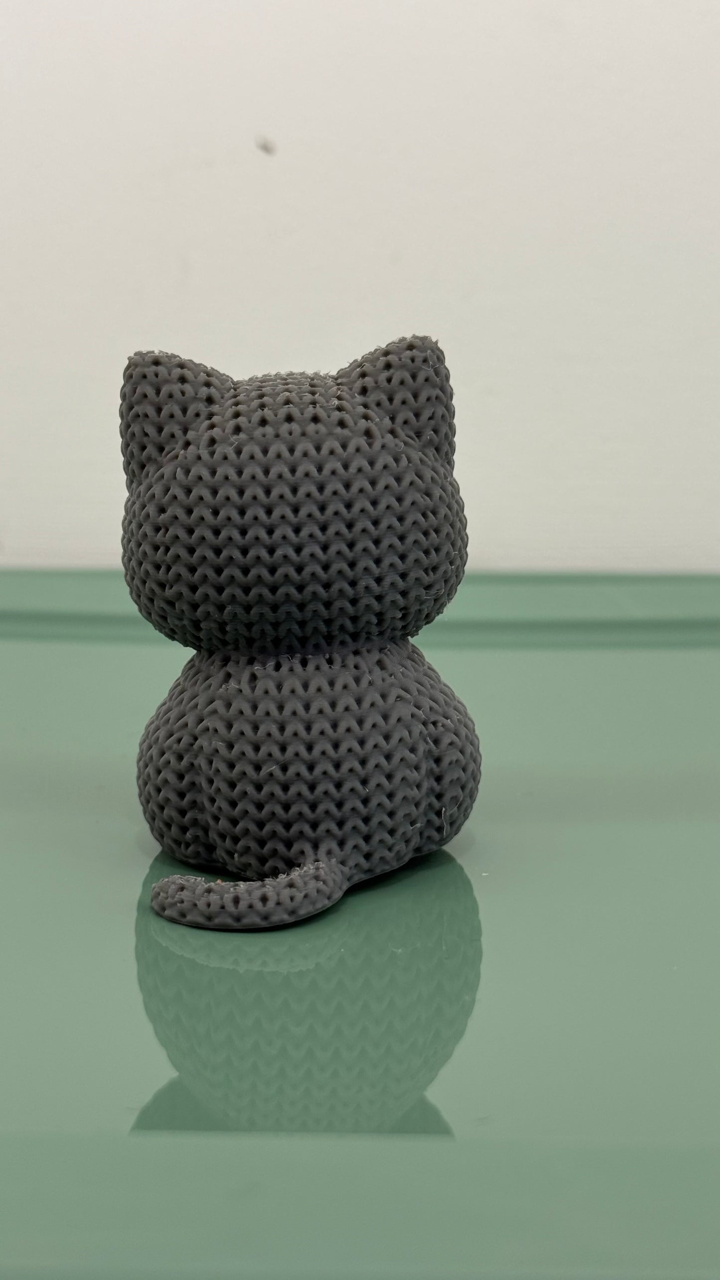 Grey Cat Kitten