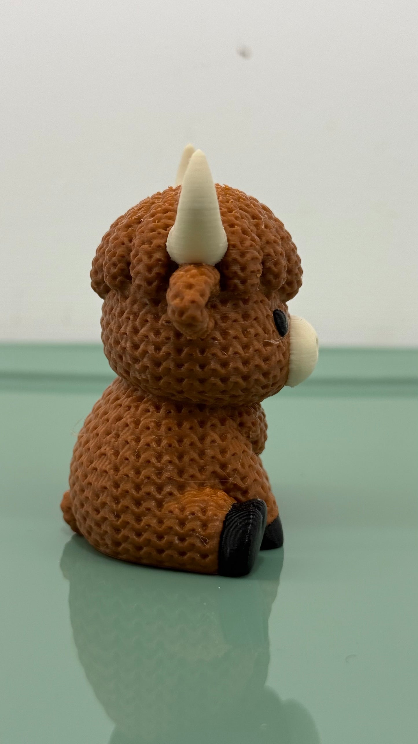 Highland Cow