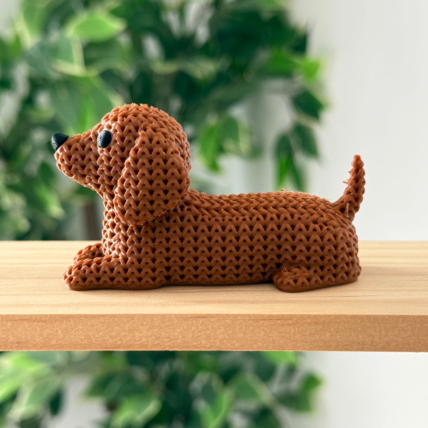 Dachshund Dog