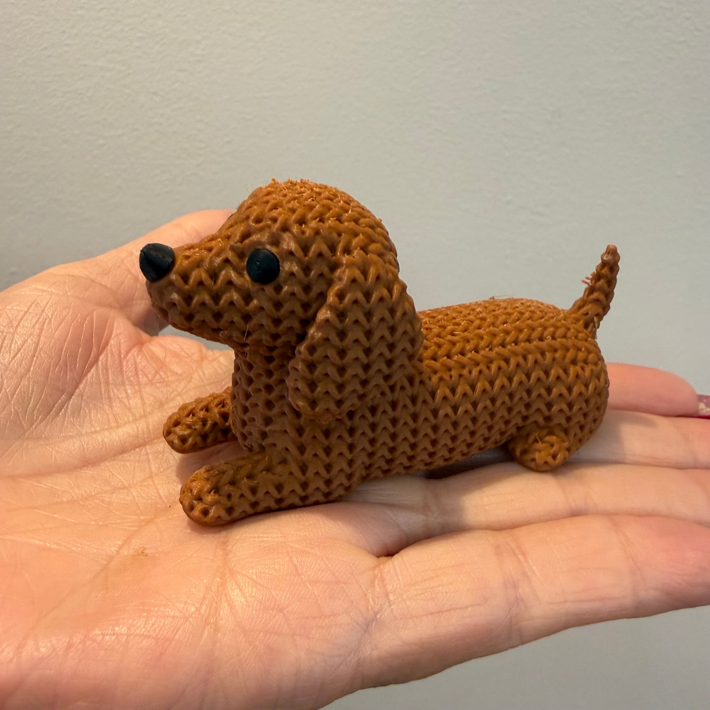 Dachshund Dog
