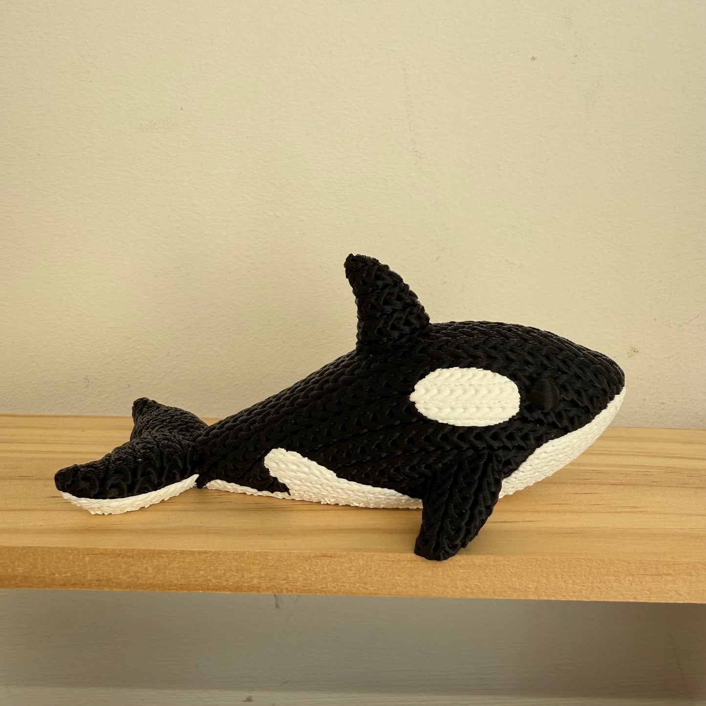 Orca Whale