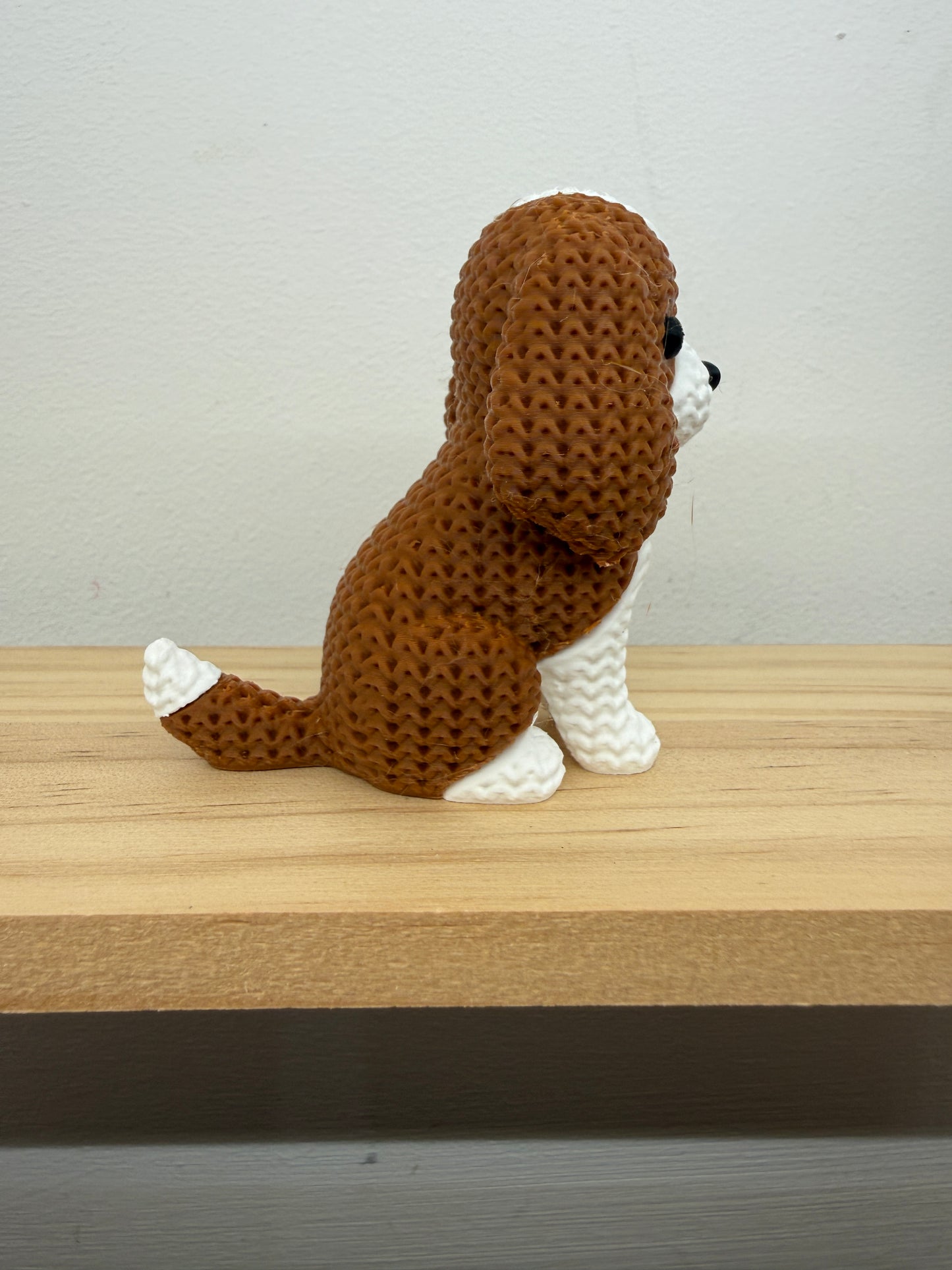 Cavalier King Charles Spaniel Dog