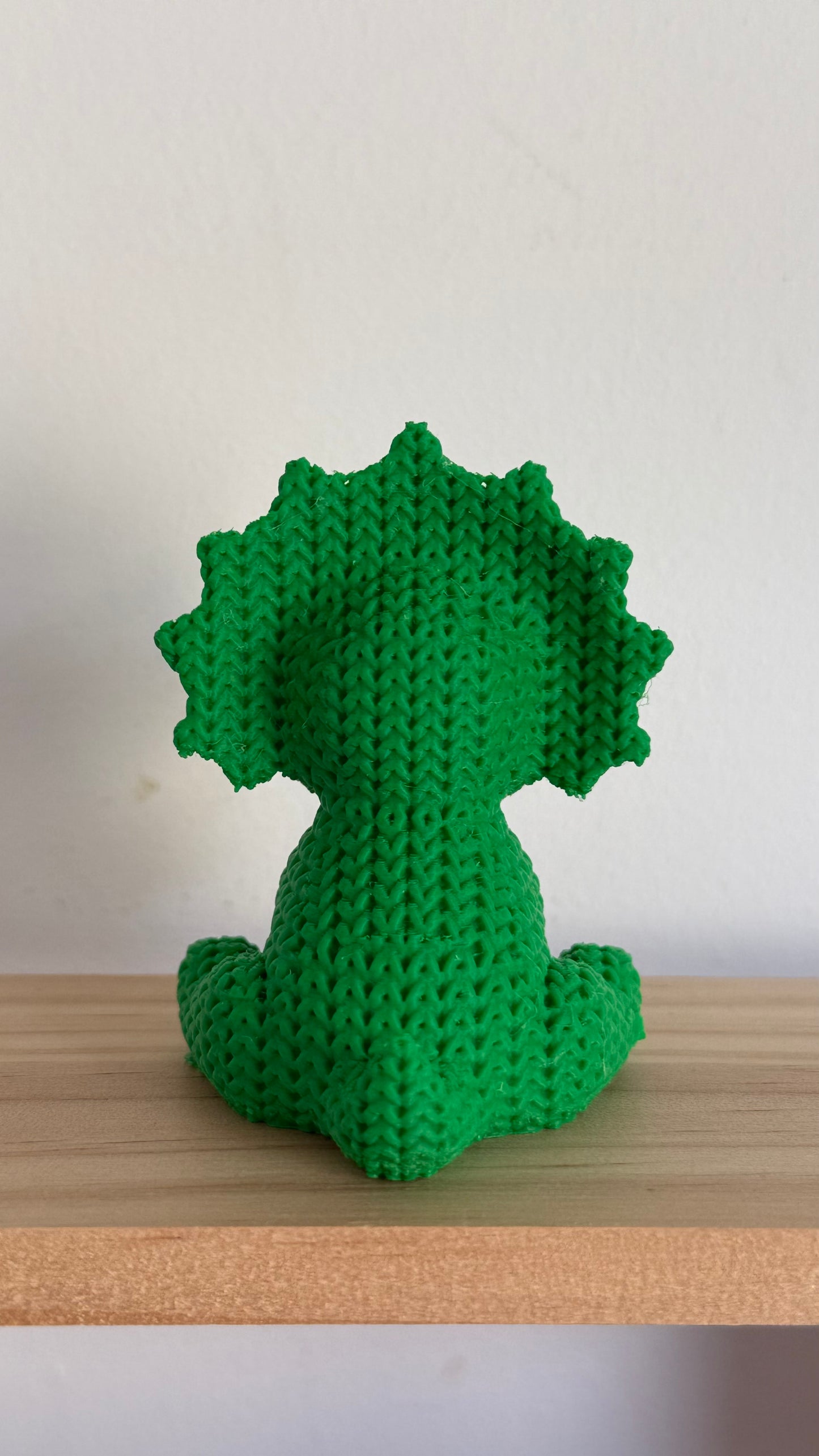 Triceratops Dinosaur