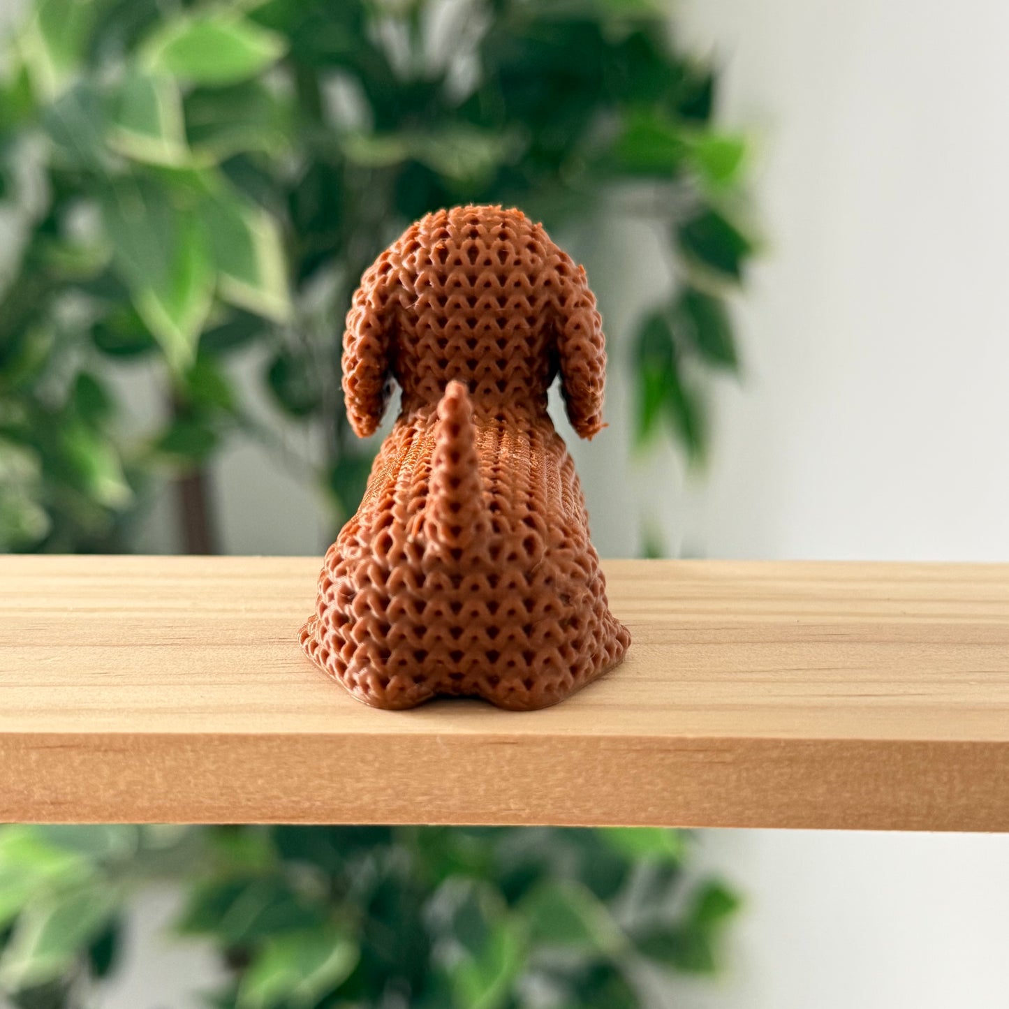 Dachshund Dog