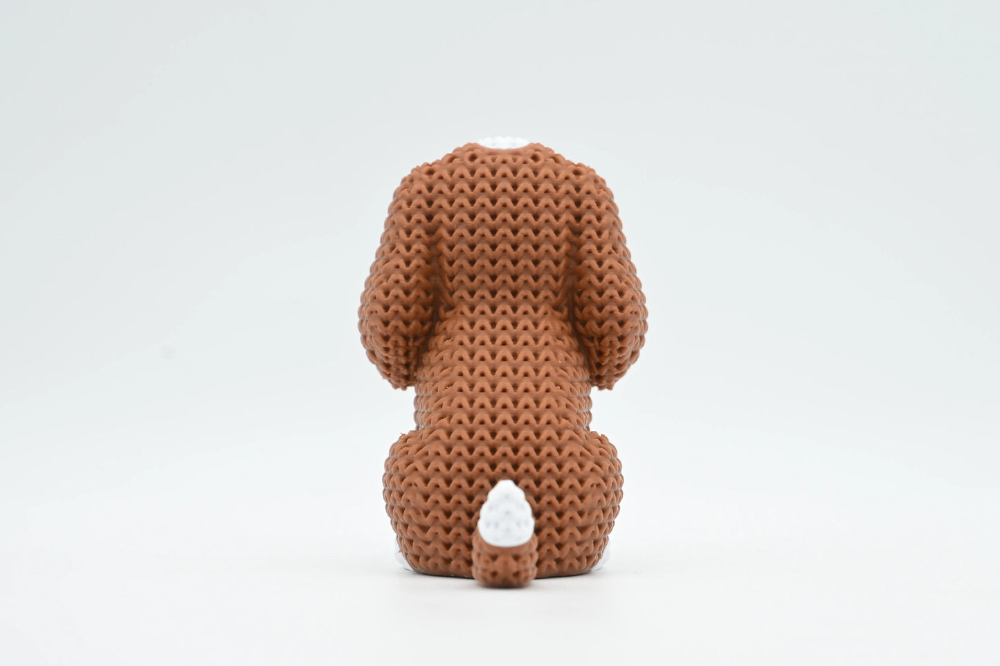 Cavalier King Charles Spaniel Dog