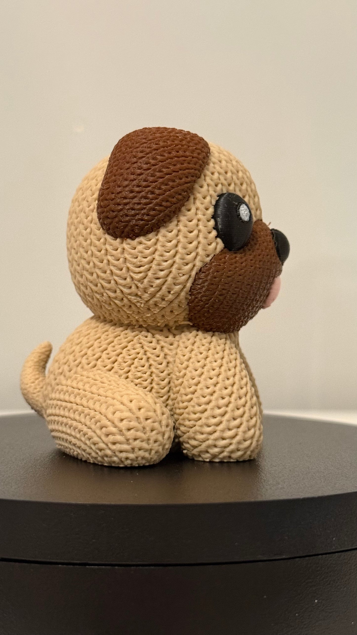 Pug Dog