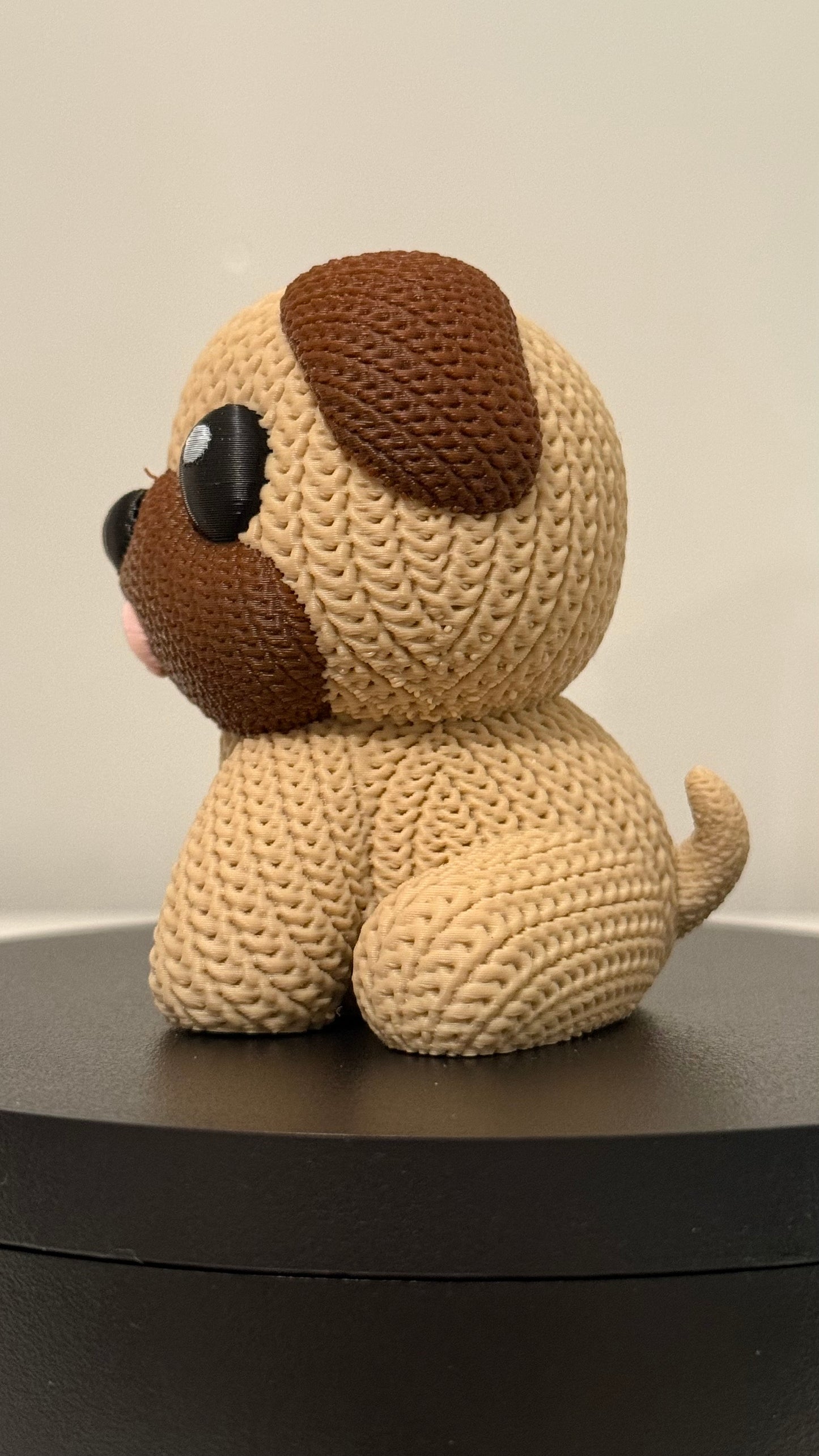 Pug Dog