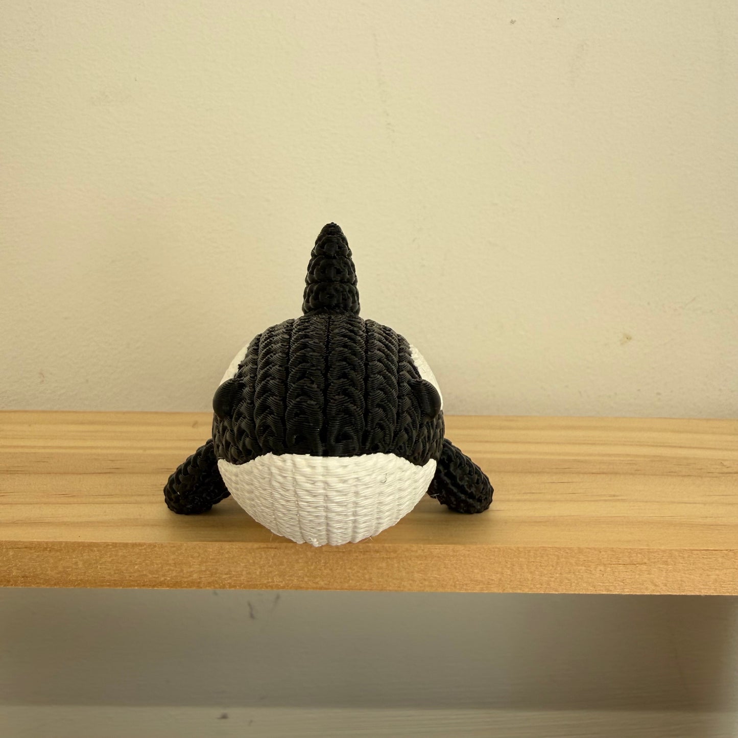 Orca Whale