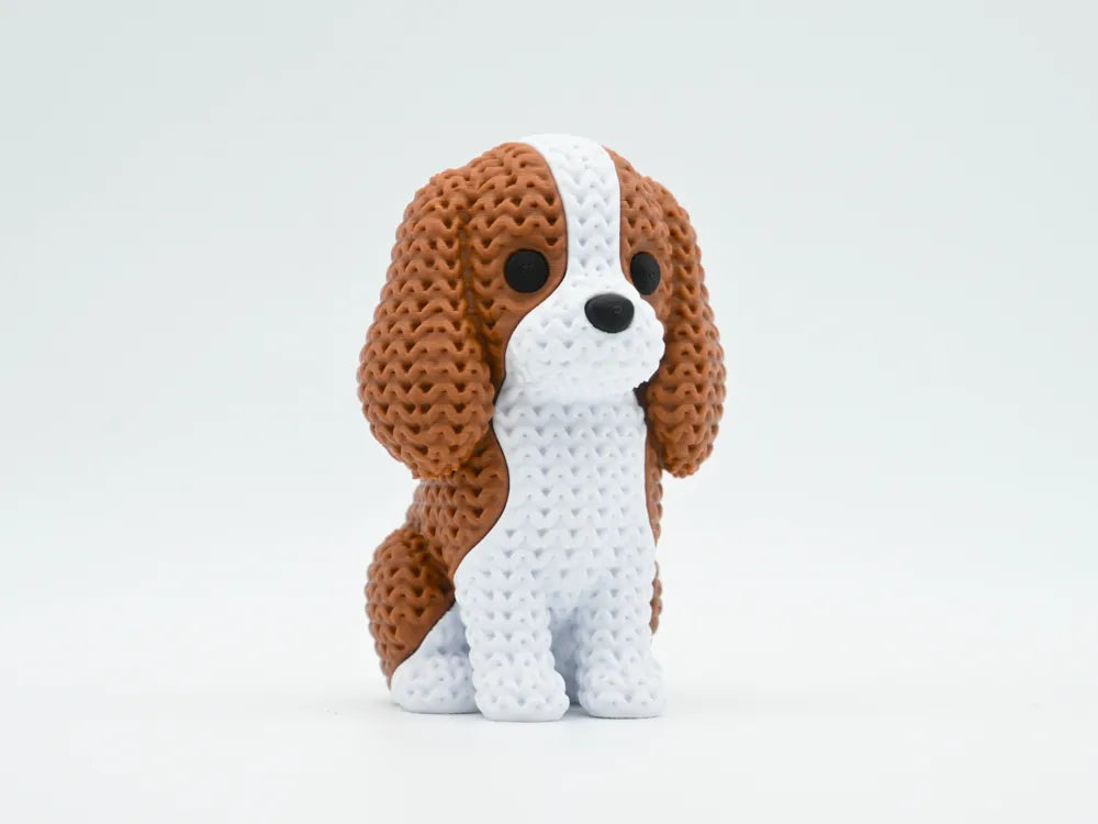 Cavalier King Charles Spaniel Dog