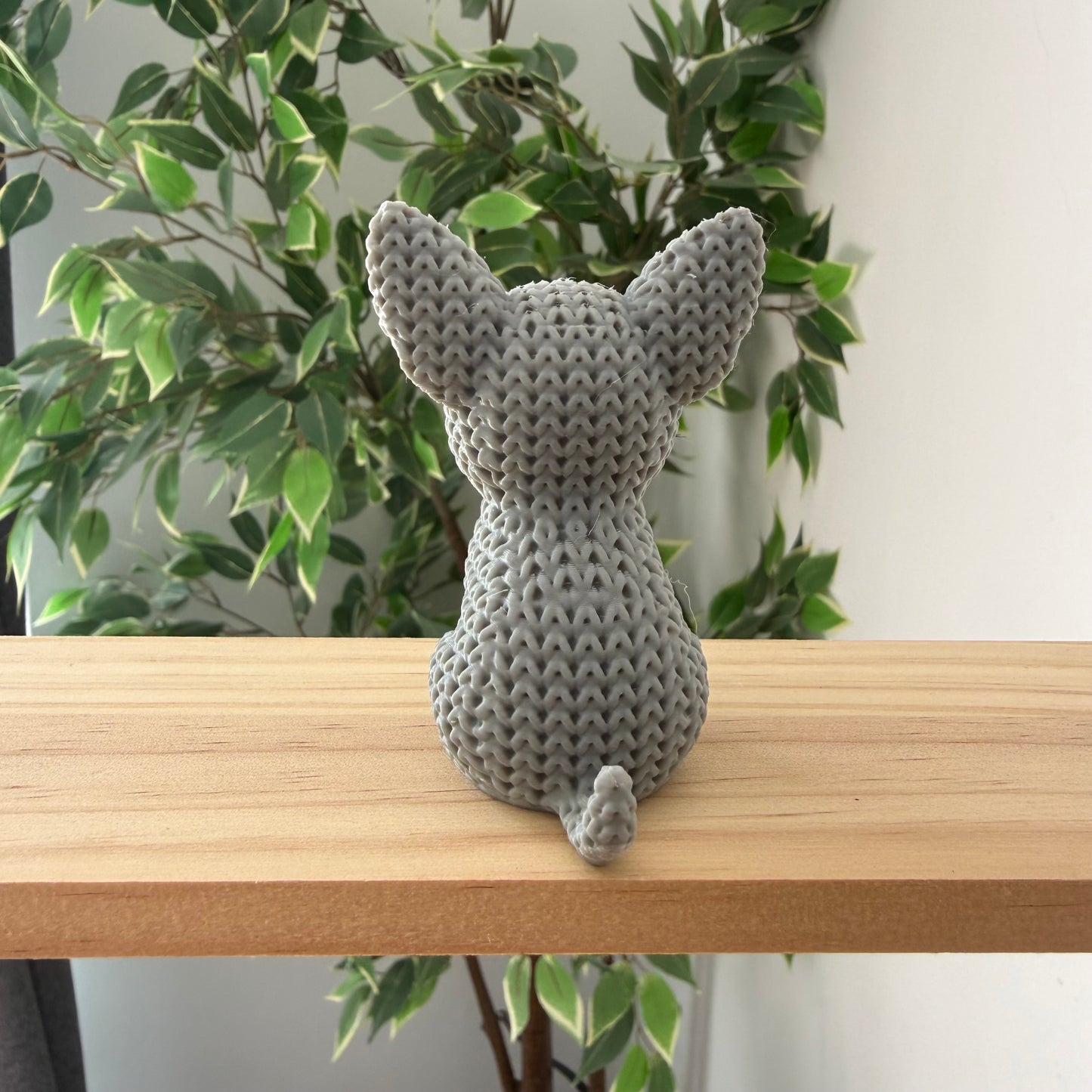 Chihuahua Light Grey