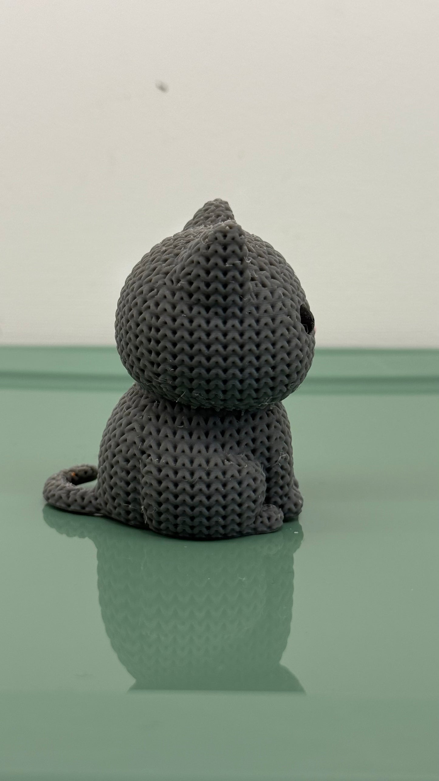 Grey Cat Kitten