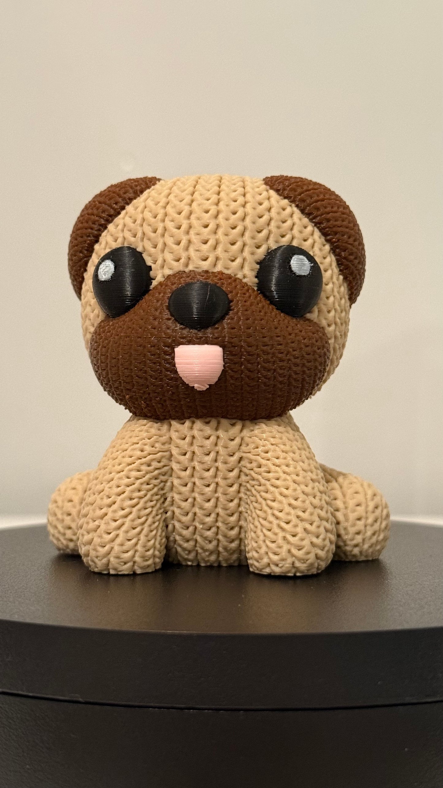 Pug Dog