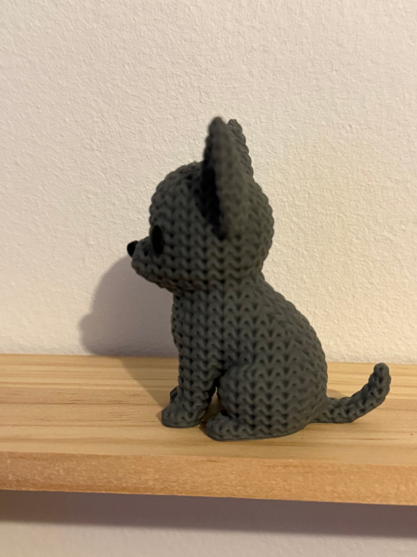 Chihuahua Grey