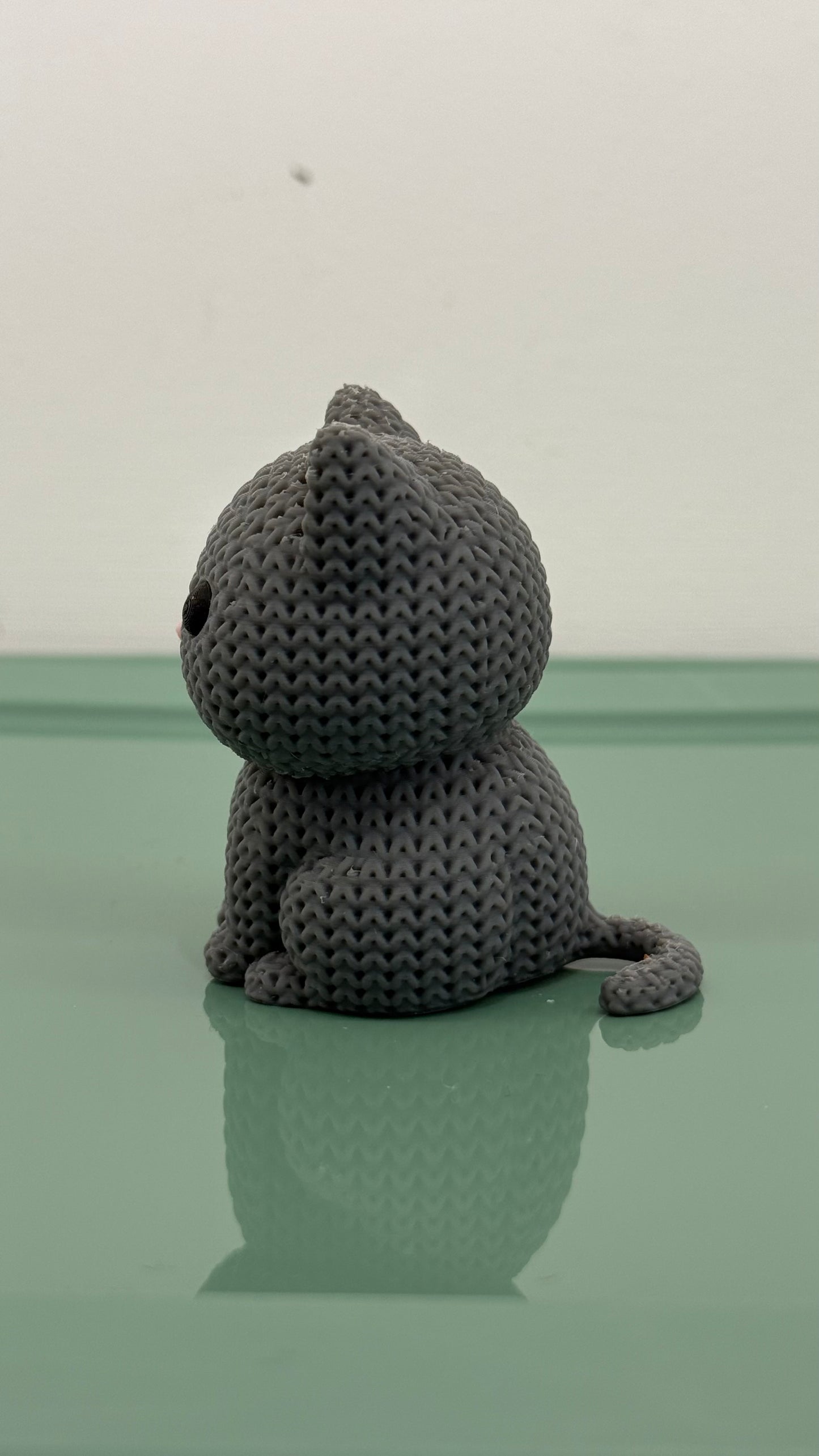 Grey Cat Kitten