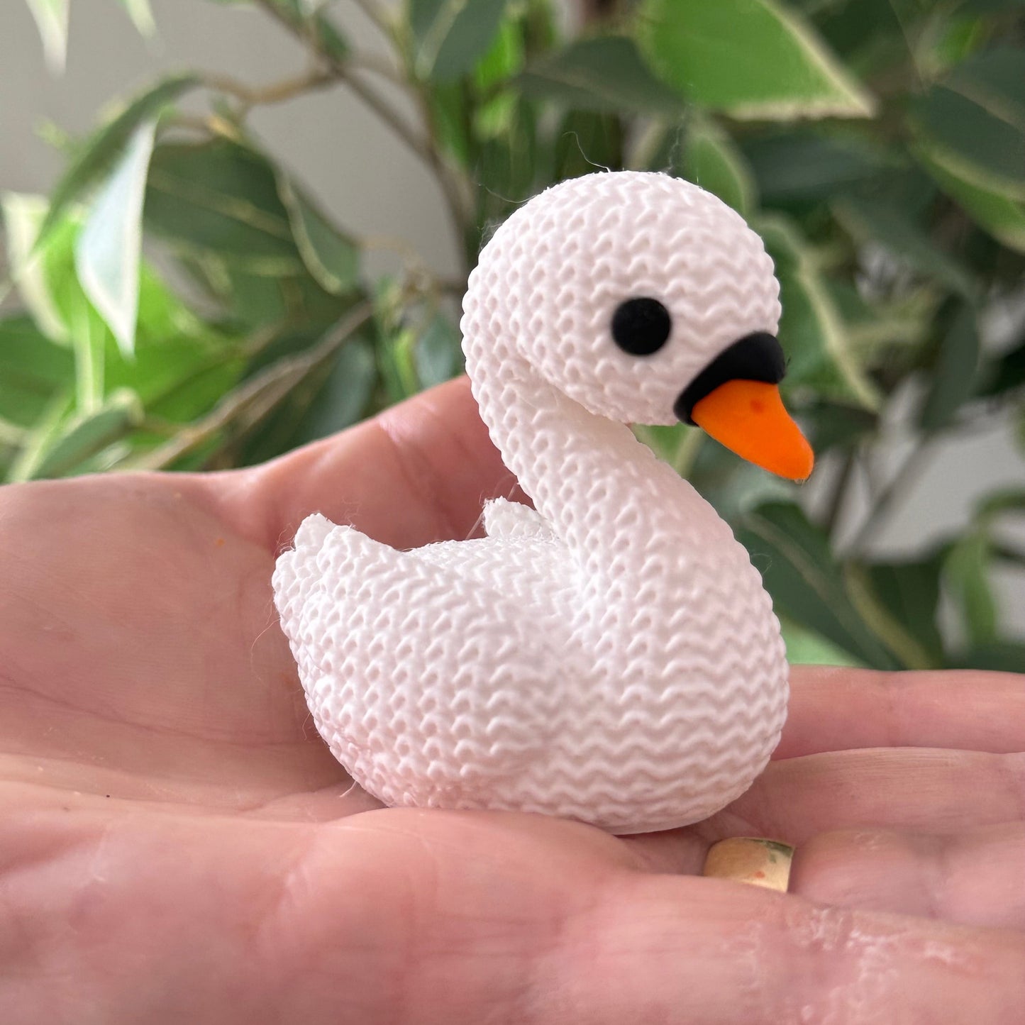 Swan