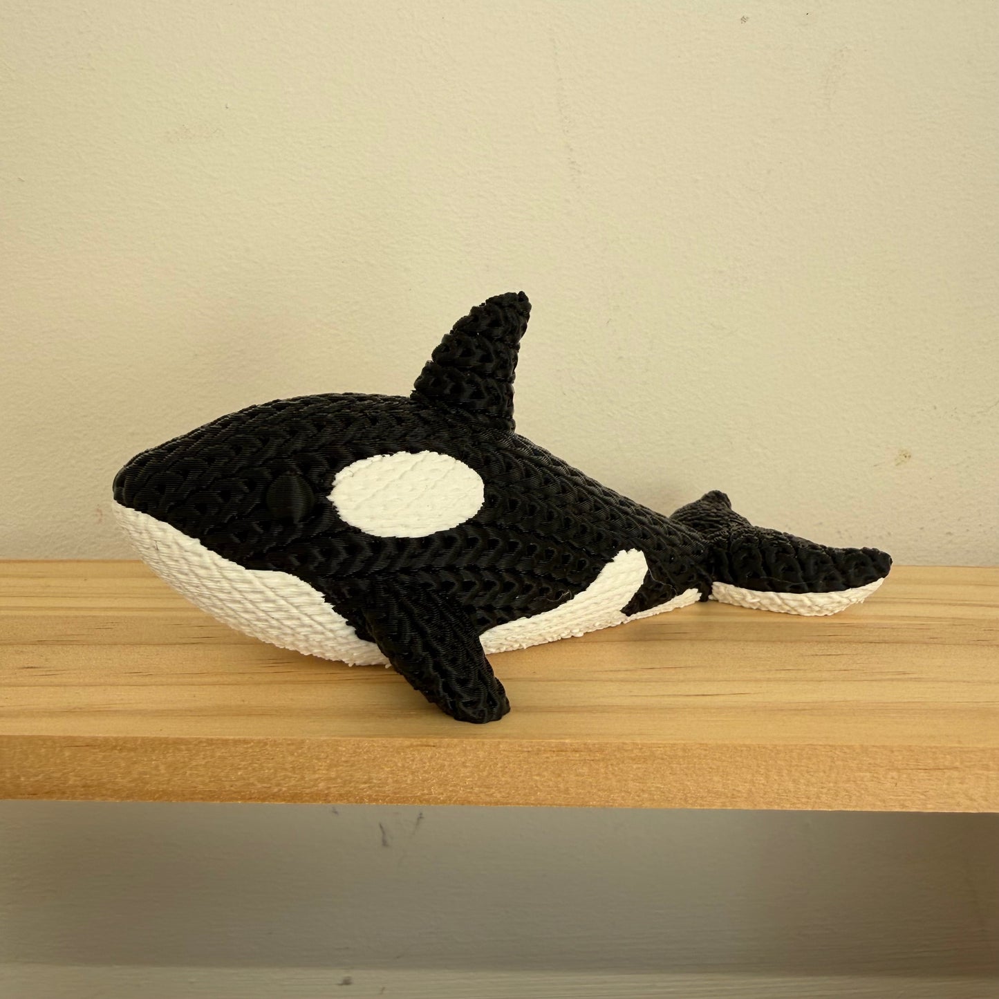 Orca Whale