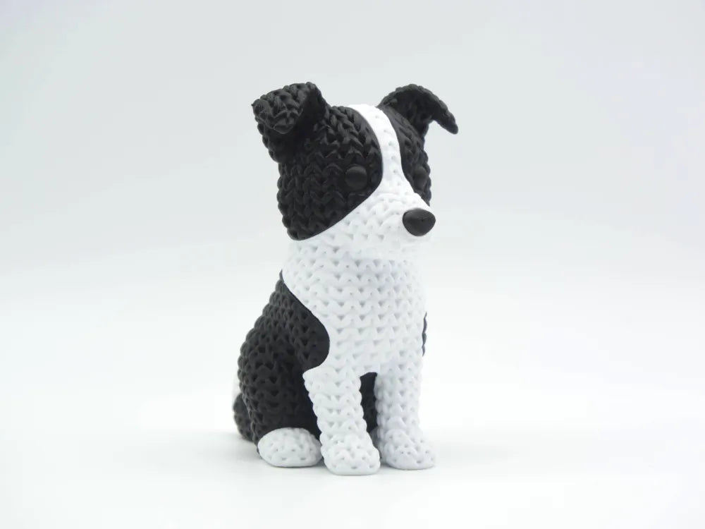 Border Collie Dog